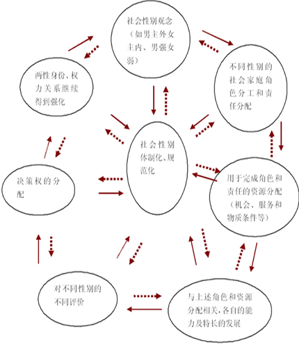 女性角色成长线索与社会议题的深度交互解读