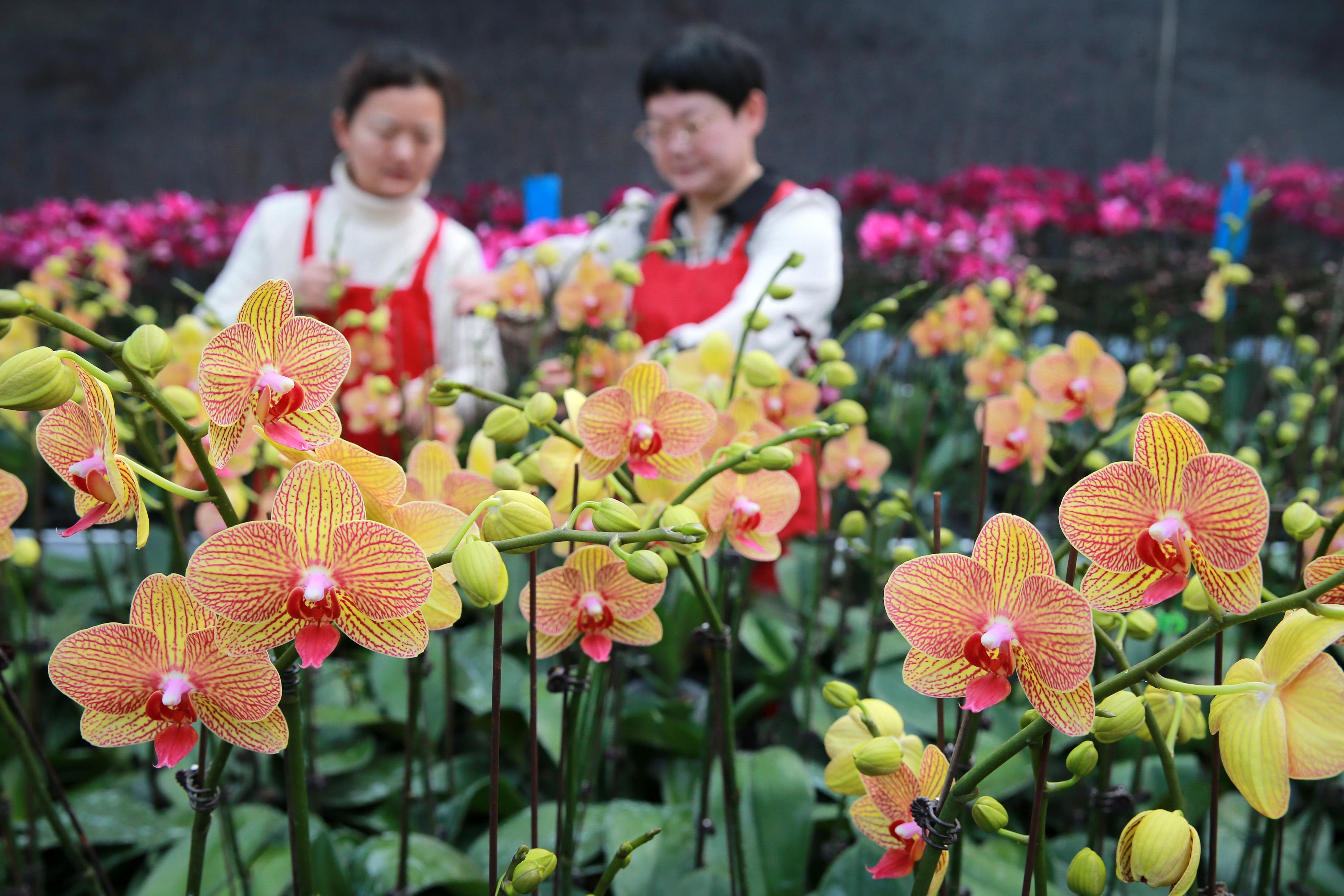 城市节庆活动对地方经济的强力推动作用