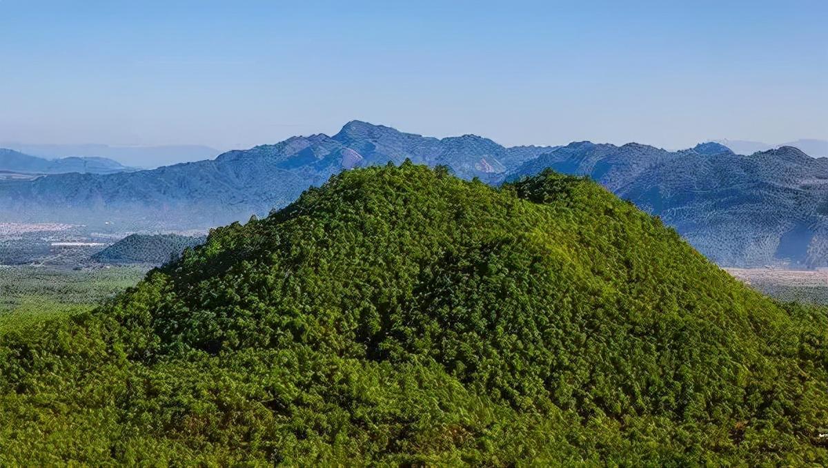 生物多样性对社会文化认同的深层影响探讨