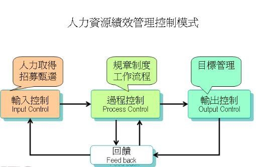 职场环境中的平等与多元化管理模式的探索与实践