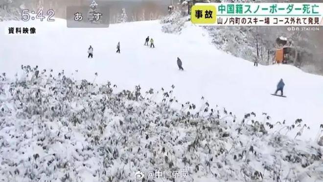 中国男游客在日本滑雪场遇难事件，深度分析与反思