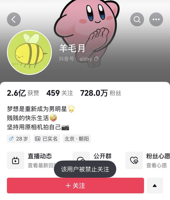 羊毛月被禁止关注背后的原因深度解析与反思