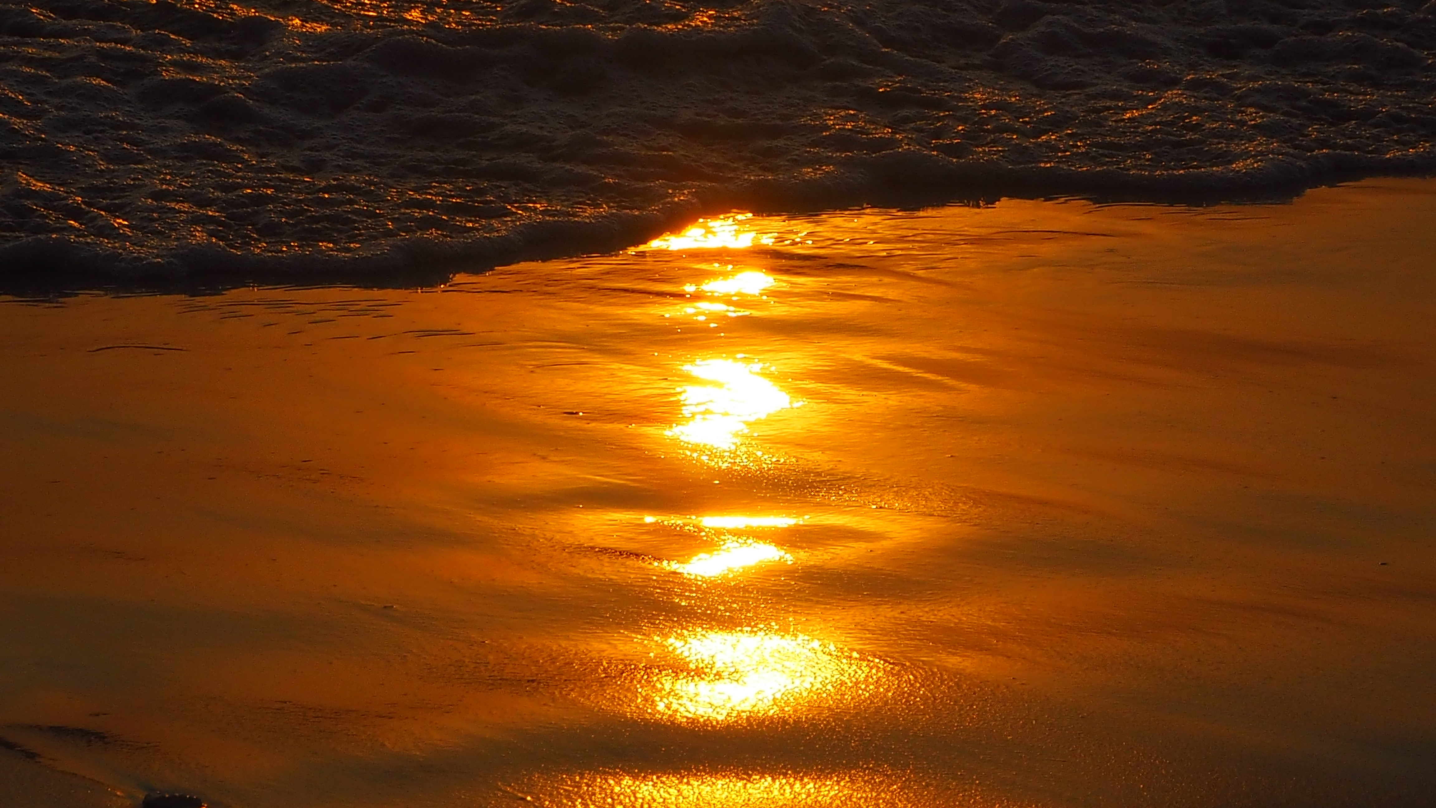 夕阳余晖映照金色海滩