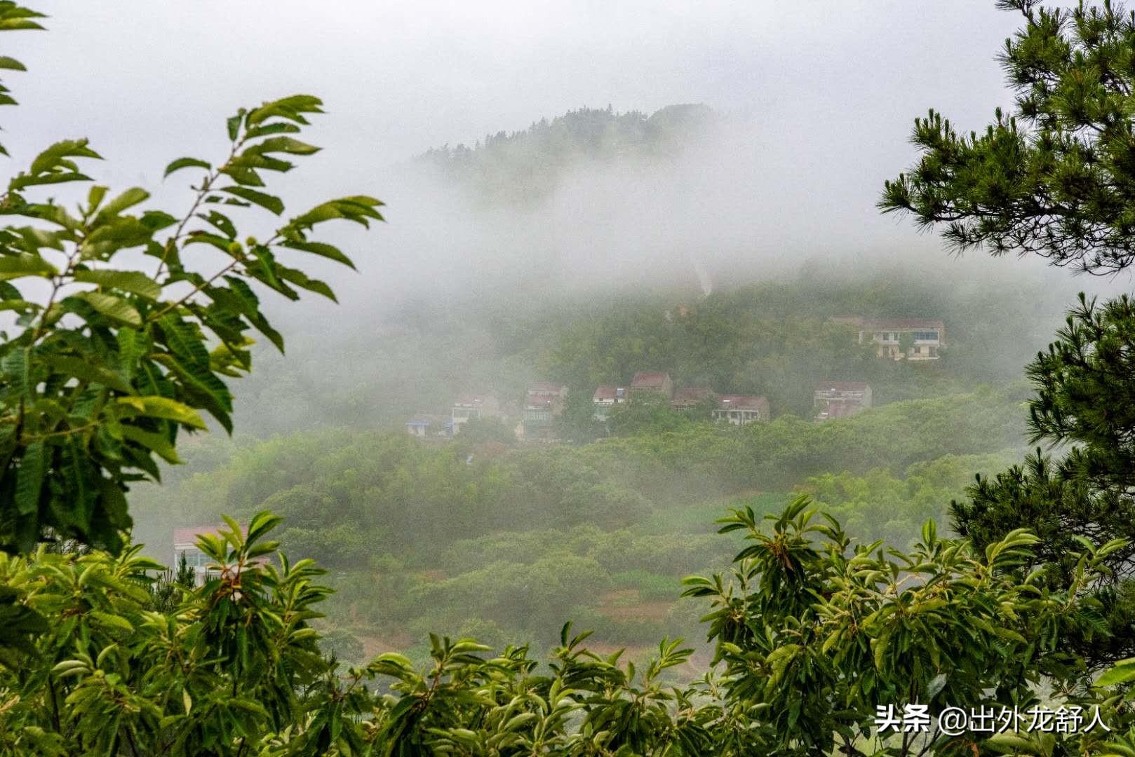 清晨露水清新气息，衣角沾湿显诗意