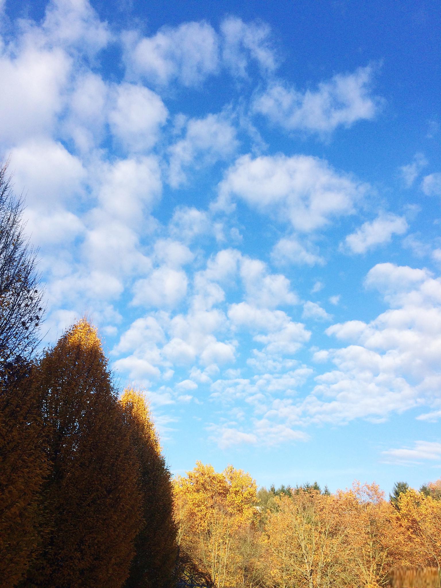 秋日晴空，湛蓝高悬，气爽清新