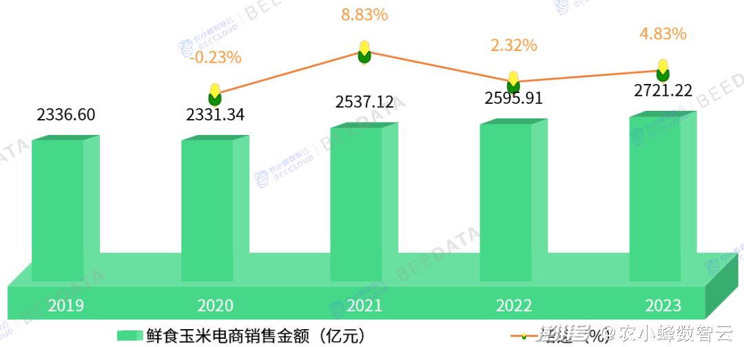 2024年12月26日 第14页