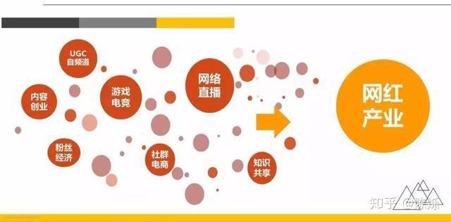 网红效应对广告传播与产品销售的深远影响分析