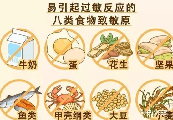 调整饮食习惯以减轻过敏反应，理解与实践指南