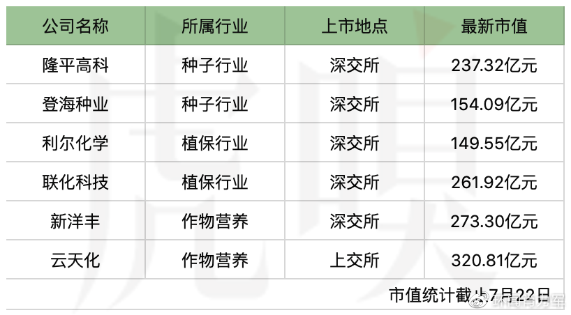 重磅来袭！2024年A股最大规模IPO即将登场