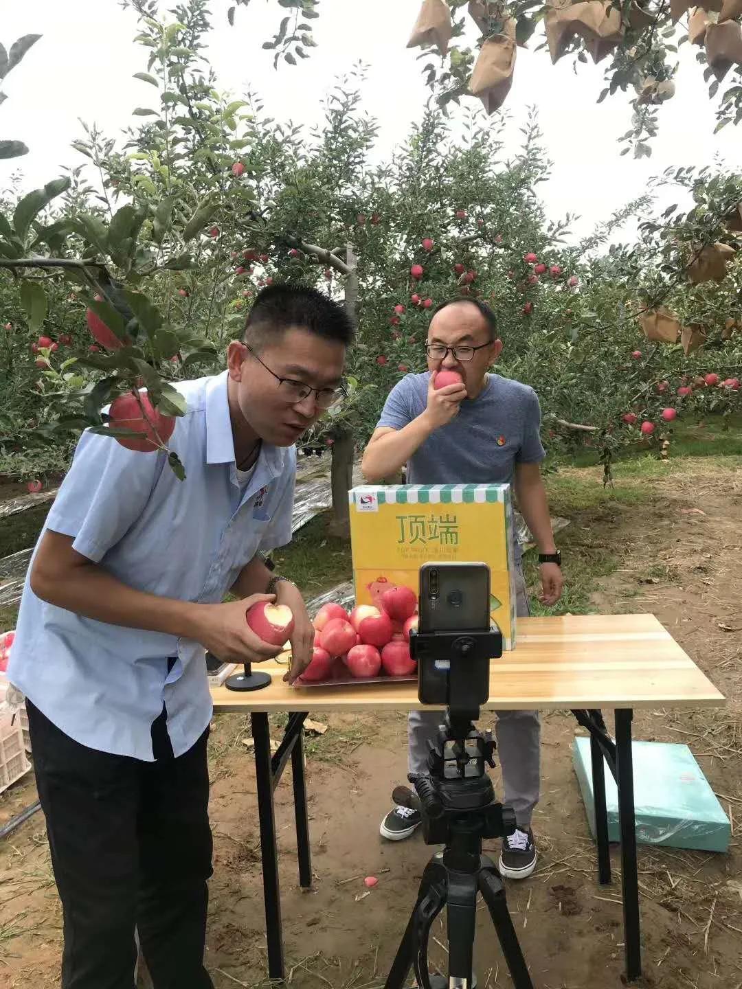 短视频带货乱象与治理力度升级，直播平台的挑战及应对策略