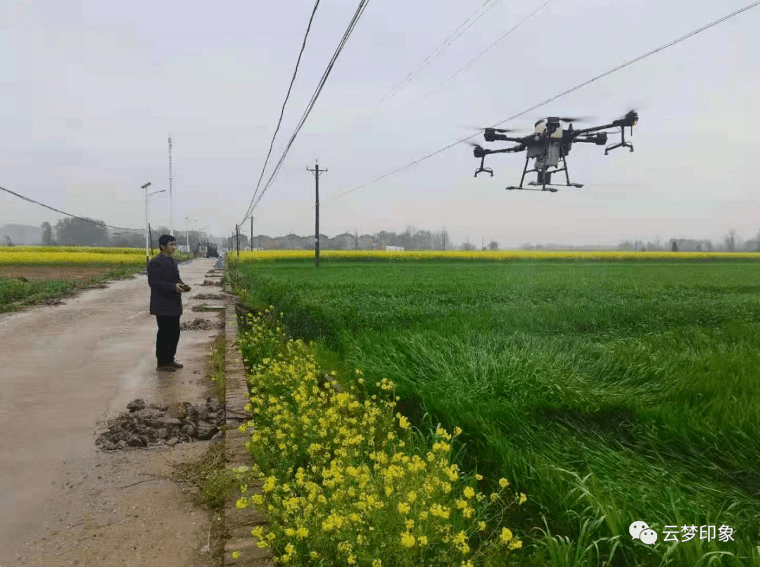 无人机植保技术推广，农业效率飞跃式提升的关键之道