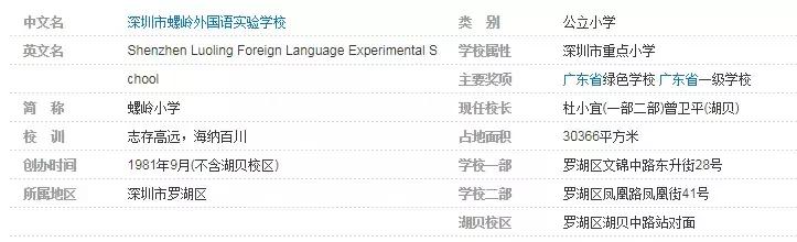 乡村教育资源短缺问题聚焦，政府的角色与责任探讨