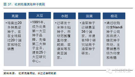 跨国公司竞争激化，全球市场竞争激烈成争夺焦点