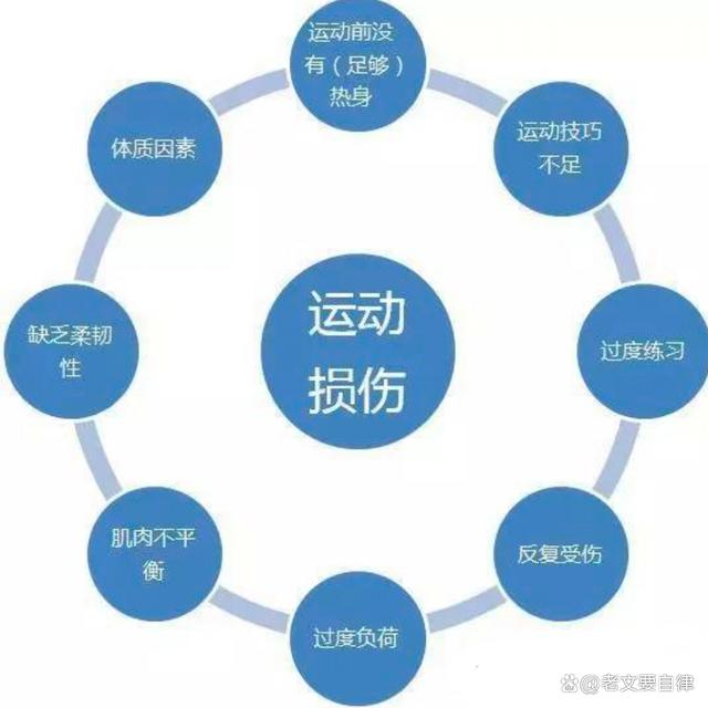 如何通过运动延缓身体机能衰退，运动助你保持活力与年轻态