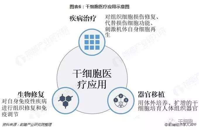 多地加强儿童药品研发，医药行业的新机遇与挑战，市场空白填补行动启动