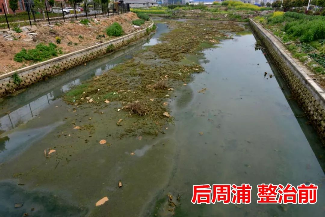 多地协同优化水环境治理，河流生态显著好转