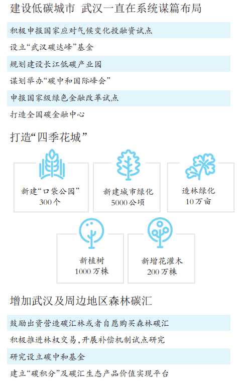 绿色建筑能效认证系统上线，推动低碳城市建设的新引擎