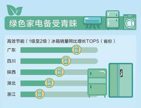 绿色理念下的家庭能效优化策略