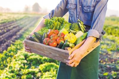 罐头食品开封后的保存秘籍，保障新鲜与健康的关键步骤