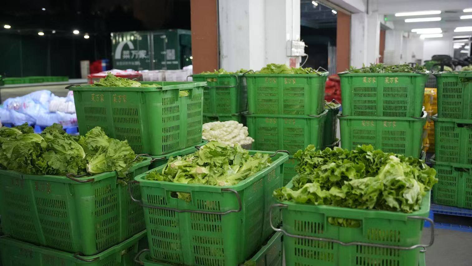 生鲜食品运输中的保鲜秘籍